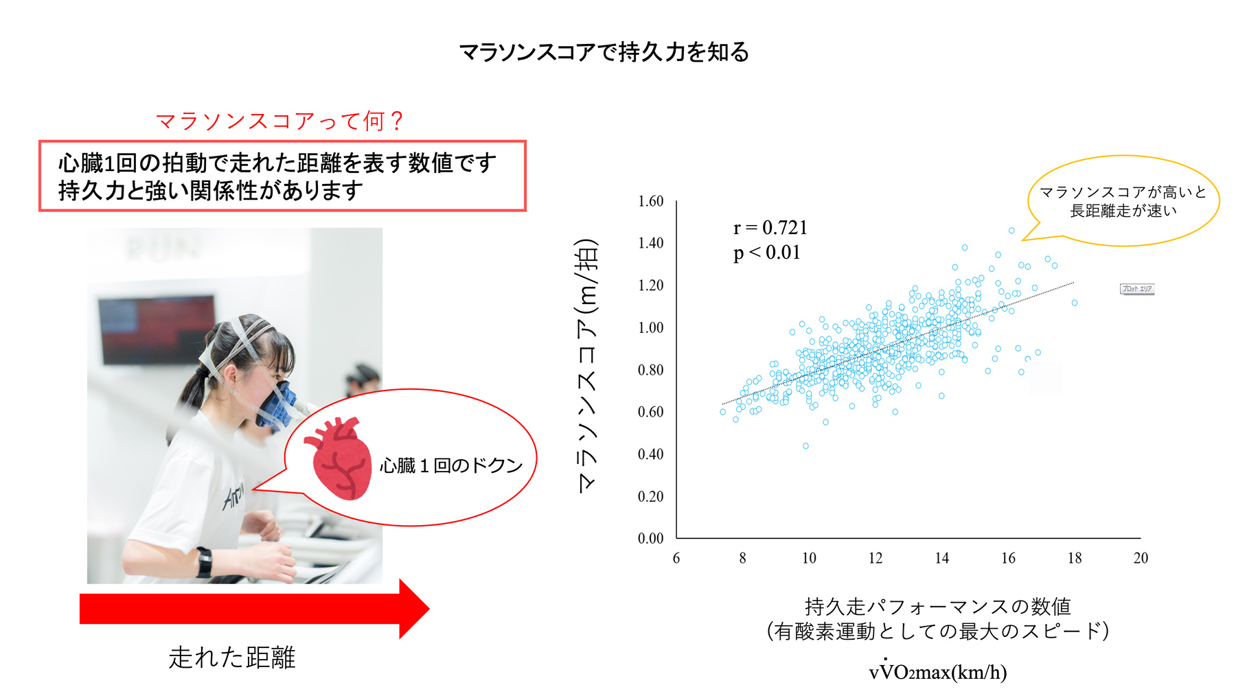 たくさん走っても疲れない！