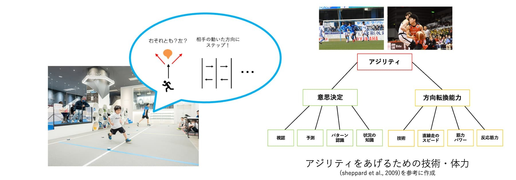 アジリティトレーニング