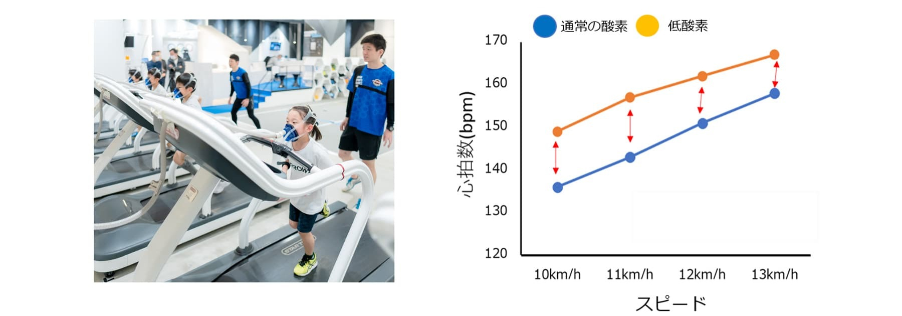 低酸素マラソントレーニング