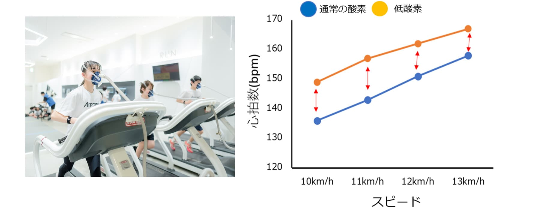 低酸素環境による効率的な持久力増加