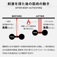 刺激を得た後の筋肉の動きについての説明画像
