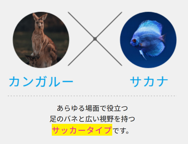 サッカー