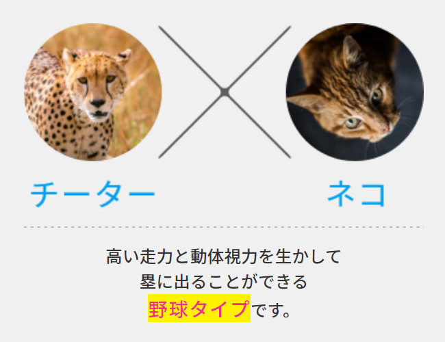 野球