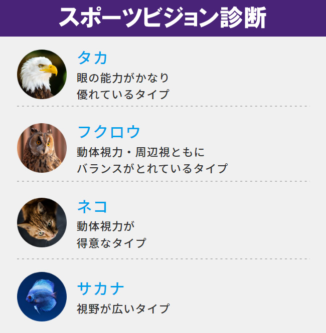スポーツビジョン