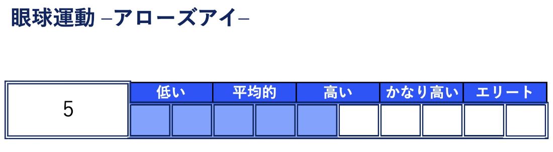 眼球運動測定 -img-