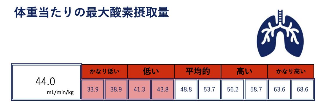 最大酸素摂取量 -img-